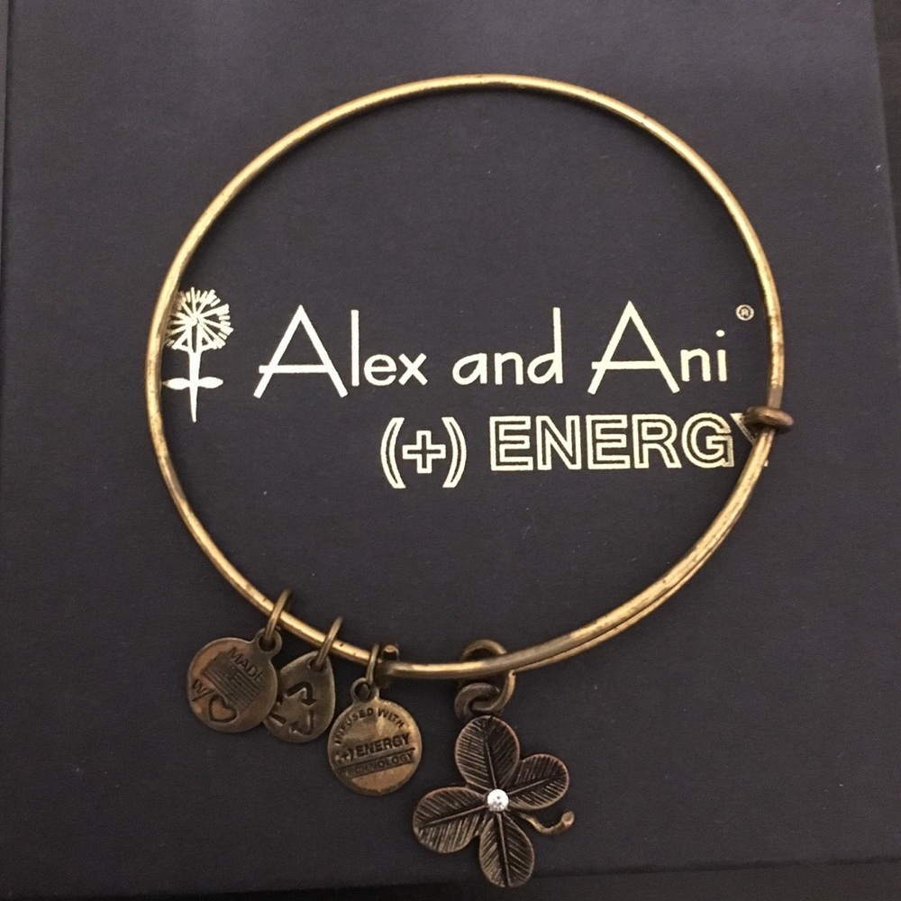 Alex and Ani bracelet